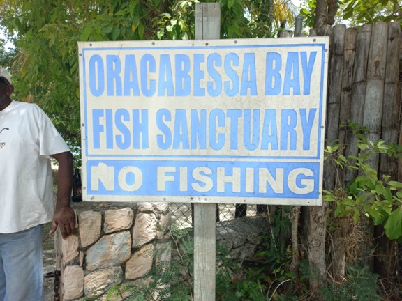 A blue and white sign reads “Oracabessa Bay Fish Sanctuary – No Fishing,” mounted on a wooden fence with trees behind it.